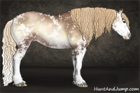 Horse Color:Liver Red Onyx Pearl Sabino Splash