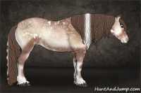 Horse Color:White Spotted Blue Onyx Ice Pearl Sabino Rabicano 