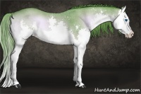 Horse Color:Watercolor Liver Red Onyx Roan Sabino Splash 