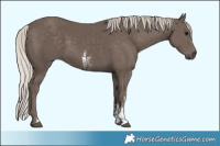 Horse Color:Silver Black Sabino 