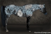 Horse Color:ERROR: UNKNOWN ANOMALY and ERROR: UNKNOWN ANOMALY