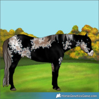Horse Color:White Spotted Liver Red Dun Ice Splash Rabicano 