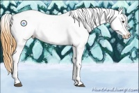 Horse Color:Watercolor Liver Chestnut Sabino Splash Appaloosa 