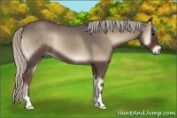 Horse Color:Silver Blue Onyx Roan