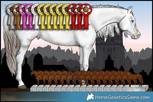 Horse Color:Liver Chestnut Splash Appaloosa 