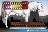 Horse Color:Liver Chestnut Splash Appaloosa 