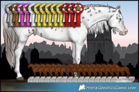 Horse Color:Liver Chestnut Splash Near Leopard 