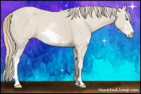 Horse Color:Smoky Creme Sabino Frame  Brindle