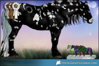 Horse Color:ERROR: UNKNOWN ANOMALY