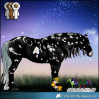 Horse Color:ERROR: UNKNOWN ANOMALY