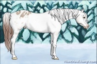 Horse Color:Bay Roan Dun Appaloosa 