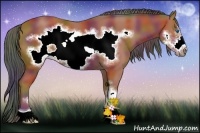 Horse Color:Nacre Bay Sabino Frame