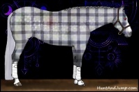 Horse Color:Plaid Silver Black Chinchilla