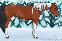 Horse Color:Bay Tobiano Rabicano 