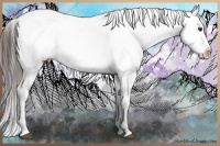 Horse Color:Liver Chestnut Snowcap 