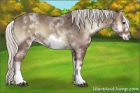 Horse Color:White Spotted Silver Blue Onyx Frame