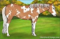Horse Color:White Spotted Silver Bay Splash
