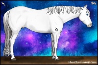 Horse Color:Brown Sabino Splash Appaloosa