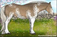 Horse Color:White Spotted Liver Chestnut Rabicano