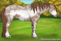 Horse Color:Chestnut Ice Sabino Frame
