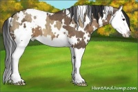 Horse Color:White Spotted Brown Dun Splash  and White Spotted Brown Dun Splash 