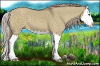 Horse Color:Chocolate Palomino Dun Splash