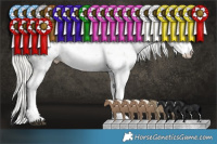 Horse Color:Liver Chestnut Pearl Mushroom Sabino 