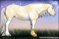 Horse Color:White Spotted Silver Amber Cream Champagne Ice Dun 