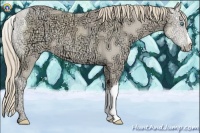 Horse Color:Perlino Ice 