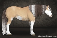 Horse Color:Amber Champagne Sabino Splash