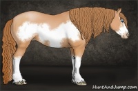 Horse Color:Bay Pearl Sabino Splash Frame