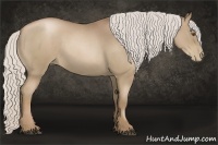 Horse Color:Silver Blue Roan Pearl Sabino