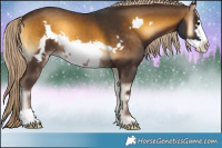 Horse Color:Chocolate Palomino Onyx Frame 