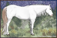 Horse Color:White Spotted Blue Roan Splash Frame Near Leopard 