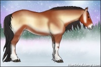 Horse Color:Bay Onyx 