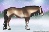 Horse Color:Liver Red Onyx Rabicano