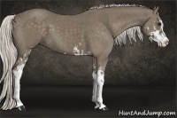 Horse Color:Silver Smoky Black Sabino 