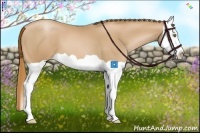 Horse Color:Chestnut Pearl Splash 