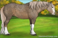 Horse Color:Chocolate Palomino Sabino Splash
