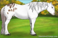 Horse Color:Chocolate Brown Varnish Rabicano  Brindle