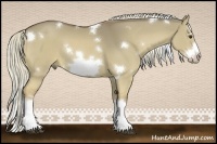 Horse Color:White Spotted Red Dun Splash Frame