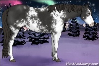 Horse Color:Liver Chestnut Sabino