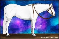 Horse Color:Watercolor White Spotted Silver Amber Cream Champagne Chinchilla Pearl Dun Sabino Splash Frame Near Leopard Rabicano 