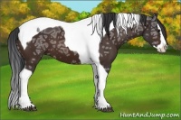 Horse Color:Bay Ice Splash Tobiano 