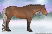 Horse Color:Silver Brown 