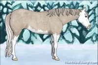 Horse Color:Silver Grullo Roan Splash 