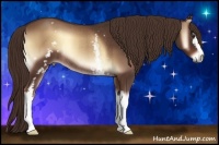 Horse Color:White Spotted Red Onyx Rabicano