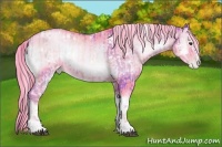 Horse Color:Watercolor White Spotted Liver Red Onyx Pearl Sabino  and Watercolor White Spotted Liver Red Onyx Pearl 