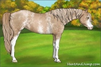 Horse Color:White Spotted Liver Chestnut Pearl  Brindle