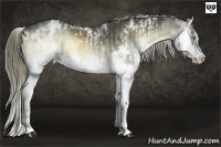 Horse Color:White Spotted Liver Red Onyx Splash and White Spotted Liver Red Onyx Splash